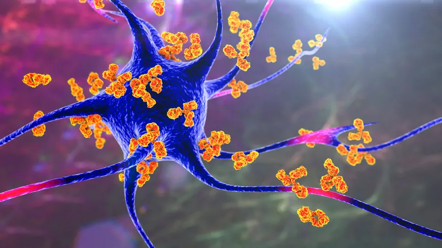 Illustration of antibodies attacking a nerve cell