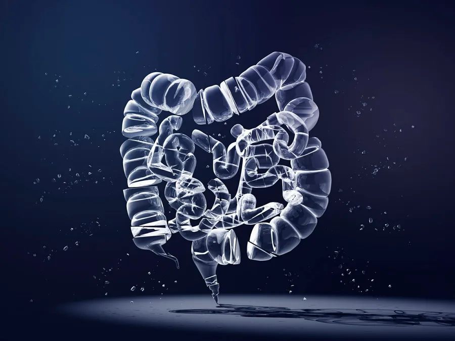 Illustration of the large intestine on a dark blue background